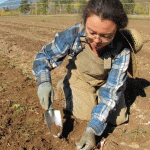 planting garlic in canada