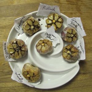 heritage garlic taste test