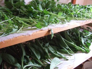 drying racks